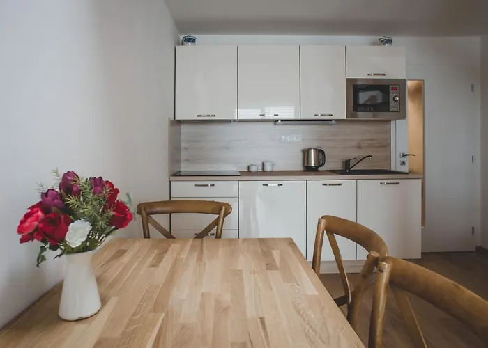 Apartman Lipno Nad Vltavou Apartment *